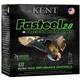  Fasteel 2.0 Precision Plated Steel 12ga 3inch 1 1/4 Oz Bb 1500ft/S 25rd