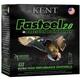 Fasteel 2.0 Precision Plated Steel 12ga 3inch 1 1/4 Oz Bb 1500ft/S 25rd