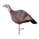 Primos Photoform Hen Turkey Decoy