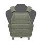 Warrior Assault Systems Dcs Special Forces Base Plate Carrier, Large, Ranger Green