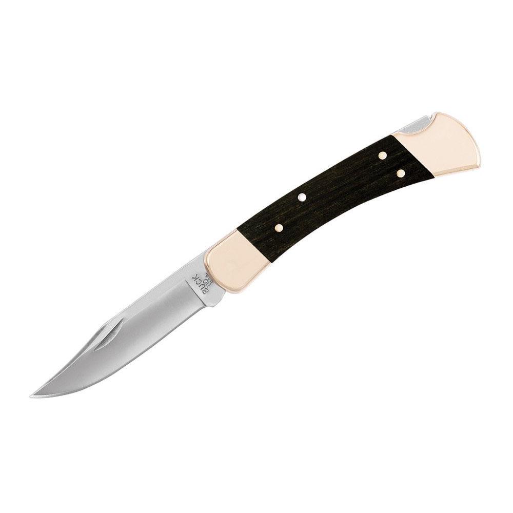  Buck Knives 110 Folding Hunter Knife