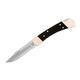 Buck Knives 110 Folding Hunter Knife