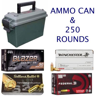 COMBO: 250 Rounds of 9mm Ammo & MTM Storage Can
