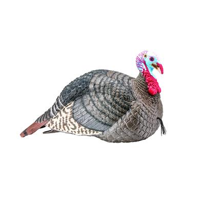 Hunters Specialties Strut-Lite Jake Decoy