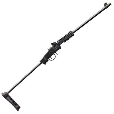Chiappa Little Badger Take Down Xtreme Rifle 22LR 16.5