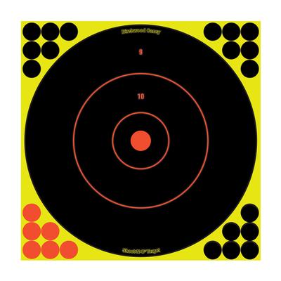 Birchwood Casey Shoot•N•C 12 Inch Bullseye Target, 120 Plasters - 5 Targets