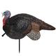  Primos Lil ' Gobstopper Jake Decoy, 69074
