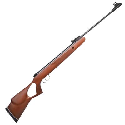 Diana Two-Fifty .177cal - 22J Gas Spring - SET
