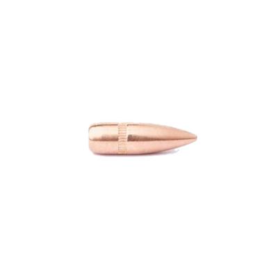 CamPro (QTY 500) Bullets .223 55gr FMJ BT CP-22355